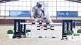Playboy – the perfect name for a horse that steals the show