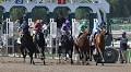 DRF's Horse Racing Playbook for Sunday, October 26, 2025