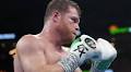 Canelo Alvarez vs. Terence Crawford odds, picks: Accomplished boxing analyst reveals top selections for September 13 showdown