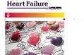 Adherence to beta-blockers and long-term risk of heart failure and mortality after a myocardial infarction