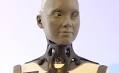 A California Museum Weighs the Promise and Perils of Tech