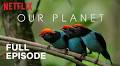 Free: Watch Our Planet, a Groundbreaking Nature Documentary Series Narrated by David Attenborough