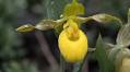 Brilliant Nature Documentary Premiers in Pagosa on Sept. 25