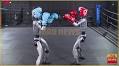 INAUGURAL HUMANOID ROBOT FIGHTING TOURNAMENT KICKS OFF IN CHINA