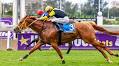 Hollywoodbets Acquires Gold Circle in a New Chapter for South African Horse Racing