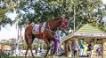 It’s Official! New Dawn Now a Reality for KZN Racing