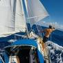 25 Cruising Heroes for the 21st century