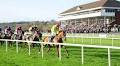 Wednesday tips: Strike Zone can deliver at Cork