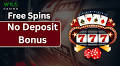 Free Spin No Deposit Casino 2025 - Wild Casino Introduces a No Deposit Bonus Casino Experience Like No Other