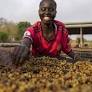 Opinion | Beijing’s supply-chain hedging strategy can help African food security