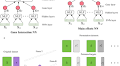 Gene–gene interaction detection with deep learning