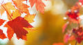 Nora Jane Human Obituary November 15, 2025
