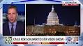 Democratic Party 'totally lost its way,' says Sen Josh Hawley