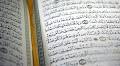 Qur’an Memorizers Who Don’t Speak Arabic Learn Grammar from Statistics Alone