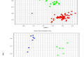 Genetic association of ACE2 and TMPRSS2 polymorphisms with COVID-19 severity; a single centre study from Egypt