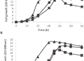 Biocatalytic desulfurization of thiophenic compounds and crude oil by newly isolated bacteria