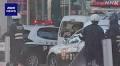 Bear culled after entering retail facility in Japan's Akita Prefecture