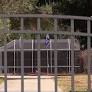 Lee County zoning dispute puts drug rehab center's future in question