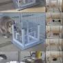 Study: Raccoons Don’t Just Solve Puzzles for Food, They Do It for Fun