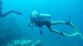 12 Things to KNOW Before Going Scuba Diving in Puerto Vallarta
