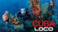 Cuba Scuba Diving Tour Part 1: Wrecks, Reefs & Adventure Across the Island