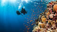 7 of the world's most incredible scuba diving experiences