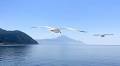 Wanderlust: Eagles Palace Hotel & Resort — Halkidiki’s Heavenly Hideaway