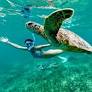 15 Most Breathtaking Destinations To Swim With Turtles, According To Travelers