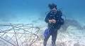 Algorithmic Artificial Reef: from Industrial Design School Project to Legacy at Sea