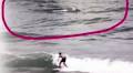 Drum lines installed on Gold Coast after 4m 'great white' sightings