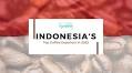 Top Indonesian Coffee Exporters & Suppliers database in 2023