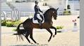 FEI World Rankings Update for November 2025