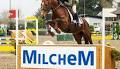 IRISH HORSE WORLD RESULTS: March 16th, 2024 15 March 2024 Free