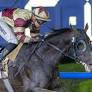 Meydan's Carnival Meet Sees International Support