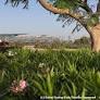 Dubai: Preview of Meydan March 6
