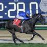 Rebel’s Romance Cruises Clear In Dubai City Of Gold Amidst Missile Attacks