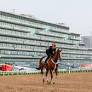 Report: ‘Missile Threats’ Cause 30-Minute Delay During Dubai Races