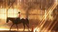 8 best places to go horseback riding in Indiana before the cold weather hits