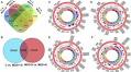Genome-wide methylome-based molecular pathologies associated with depression and suicide