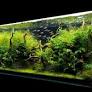 Zakładanie akwarium 120x45x60cm