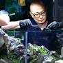 Dave Chow - warsztaty aquascapingu