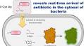 Bioluminescence-Based Determination of Cytosolic Accumulation of Antibiotics in Escherichia coli