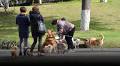 Chinese Animal Center Aims to Educate Public, Encourage Adoption