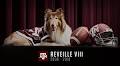 Former Texas A&M Mascot Reveille VIII Dies At Age 12