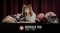 Former Texas A&M mascot Reveille VIII dies at age 12