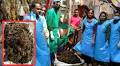 15 Kilograms of Plastic Waste and Several Metallic Foreign Bodies Removed from Cow’s Stomach at Garacharma Veterinary Hospital