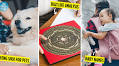 11 Best Online Feng Shui Masters If You Need Lucky Wedding Dates Or Reno Advice