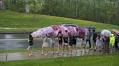 Parade of the Giant Daikon Radish: Riku Nakano ’25 brings absurdity and melancholy to senior thesis