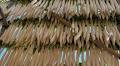 VIDEO: Exploring Japan: Edo Era’s radish drying method continues in Miyazaki
