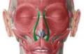 Analysis of facial expressions recorded from patients during psychiatric interviews
